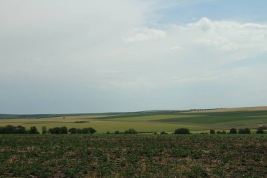 Yeşil alan, doğa ve bitki örtüsü