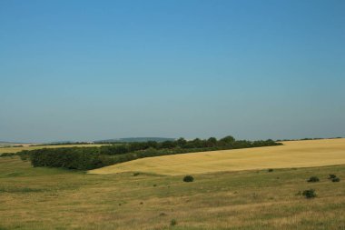 Ukrayna 'nın kırsalında güzel bir manzara
