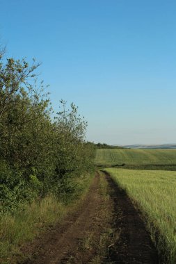 Kırsal kesimde kırsal yol