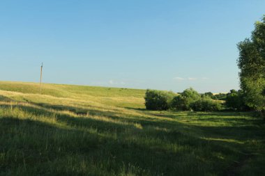 Yeşil çimenli güzel yaz manzarası