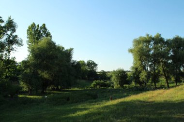 Doğanın güzel manzarası