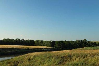 bir buğday tarlası ve mavi bir gökyüzü.
