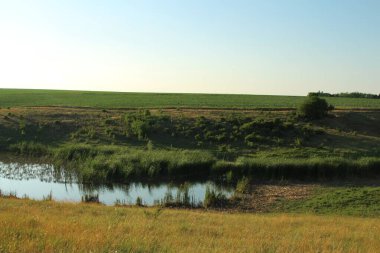 Kırsal kesimde bir nehir manzarası