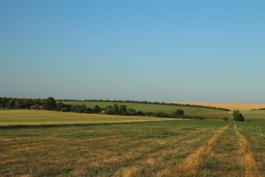 Doğanın güzel manzarası