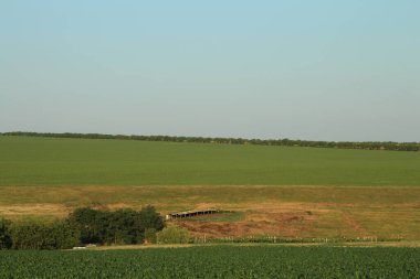 Buğday, mısır ve yeşil tarlalı tarım arazisi