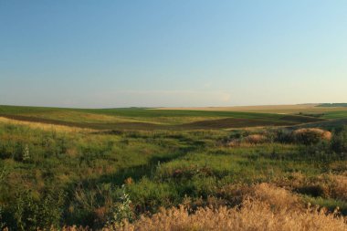 Çayırlık arazi saskatchewan Kanada