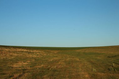 Yeşil alan, bitki ve doğa