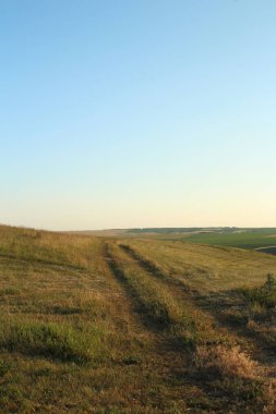 alan çim ve mavi gökyüzü ile.
