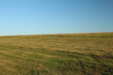 Çimenli tarla ve güzel manzaralı mavi gökyüzü.