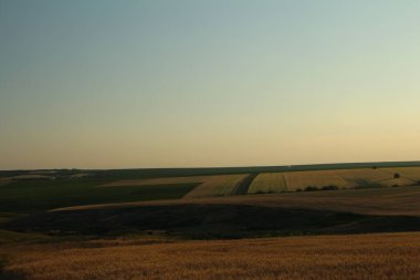 Tarlada güzel bir gün batımı