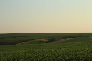 Doğanın güzel manzarası