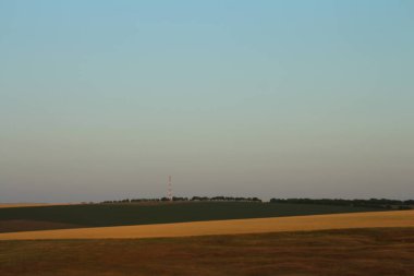 Mavi gökyüzü ve bulutlu yeşil bir tarlanın güzel bir görüntüsü.