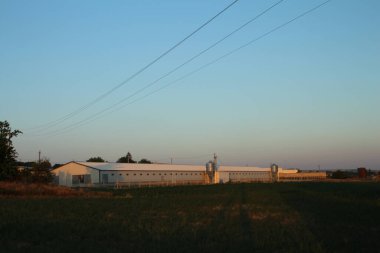 New York şehrinin manzarası