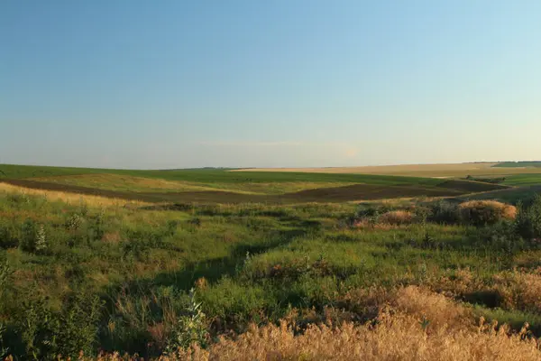 Çayırlık arazi saskatchewan Kanada