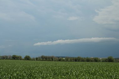 Gökyüzünde fırtına bulutları