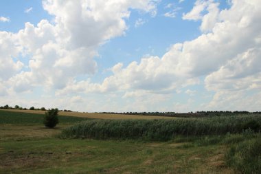 Yeşil çimenli ve bulutlu gökyüzü