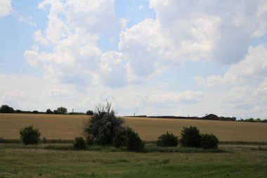 Kırsal alan, tarla ve mavi gökyüzü