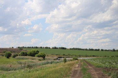 Bulutlu bir gökyüzü ile kırsal alan