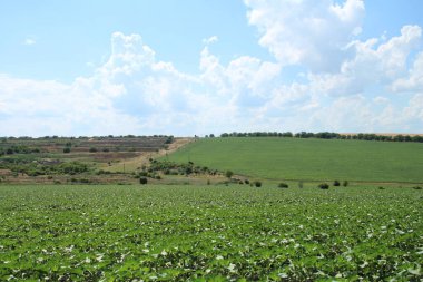 Mavi gökyüzü ve manzaralı bir arazi.