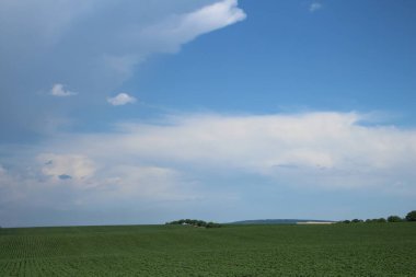 Doğanın güzel manzarası