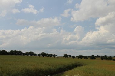 güzel alan manzara mavi gökyüzü ile