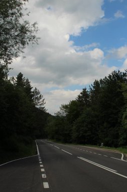 Boş yol orman yoluyla