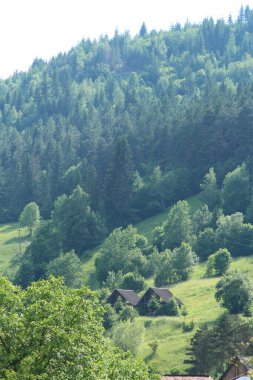 Doğanın güzel manzarası