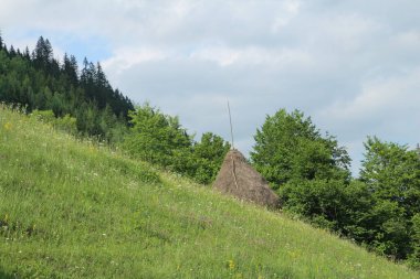 Yazın bir tepeden manzara