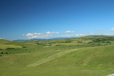 Yeşil çimenli manzara