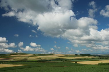 Mavi bulutları ve mavi gökyüzü olan yeşil alan
