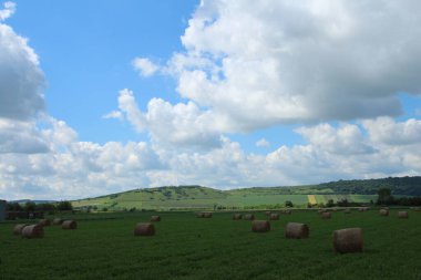 Buğday ve saman balyaları manzarası