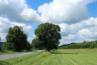 Yazın beyaz bulutlu yeşil tarlalar ve ağaçlar
