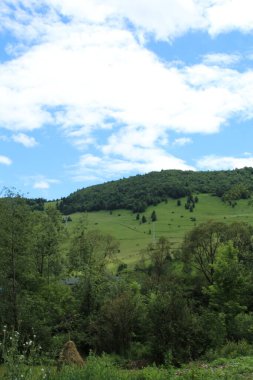 Dağlı güzel bir manzara.