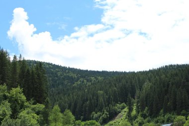 Dağların manzarası