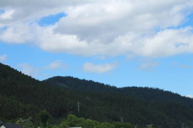 Yeşil orman ve dağlar