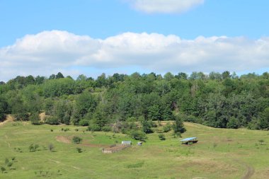 Dağlarda yeşil bir orman manzarası