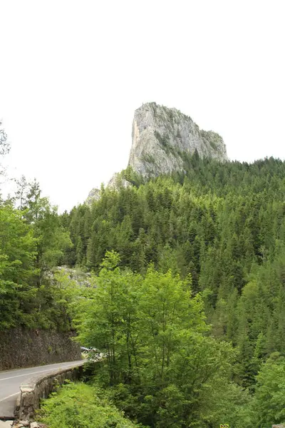 Dağa giden yol
