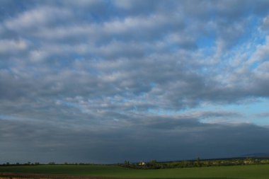 Güzel bir manzara Ağacı ve mavi gökyüzü