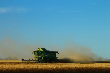 Akşamları buğday tarlasında hasatları birleştirin.