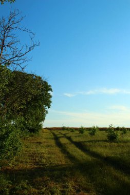bir yaz günü manzara.