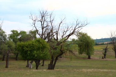 Lesotho köyüne giden yolun manzarası, nehrin yanında.