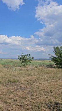 Kırsal manzaranın güzel manzarası