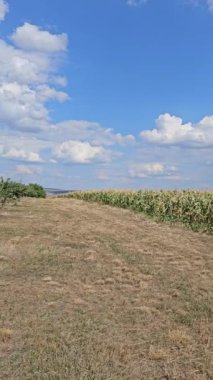 Arkaplanda yeşil alan ve mavi gökyüzü