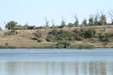 Güzel bir göl manzarası