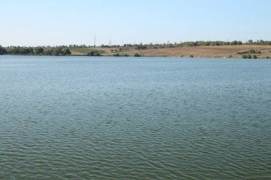 Nehirdeki güzel yaz manzarası