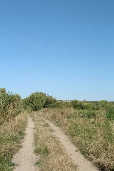 Ormanda yol