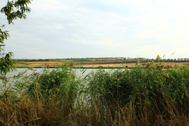 Parktaki güzel göl.