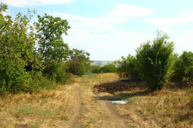 Kırsal kesimde kırsal yol