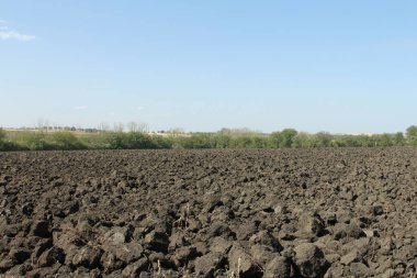 Yağmurdan sonra tarlada kuru toprak