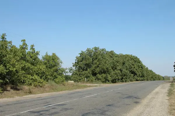Kırsalda asfalt yol